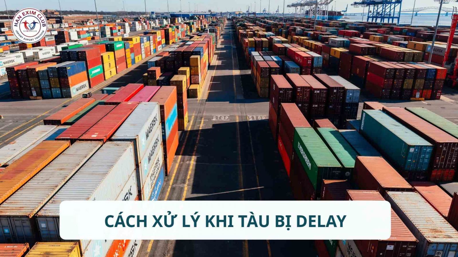 Cách xử lý khi tàu bị delay