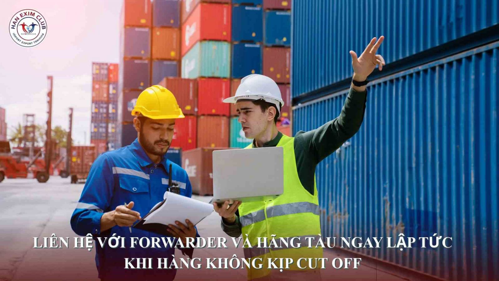 Liên hệ với hãng tàu và forwarder ngay lập tức khi hàng không kịp cut off