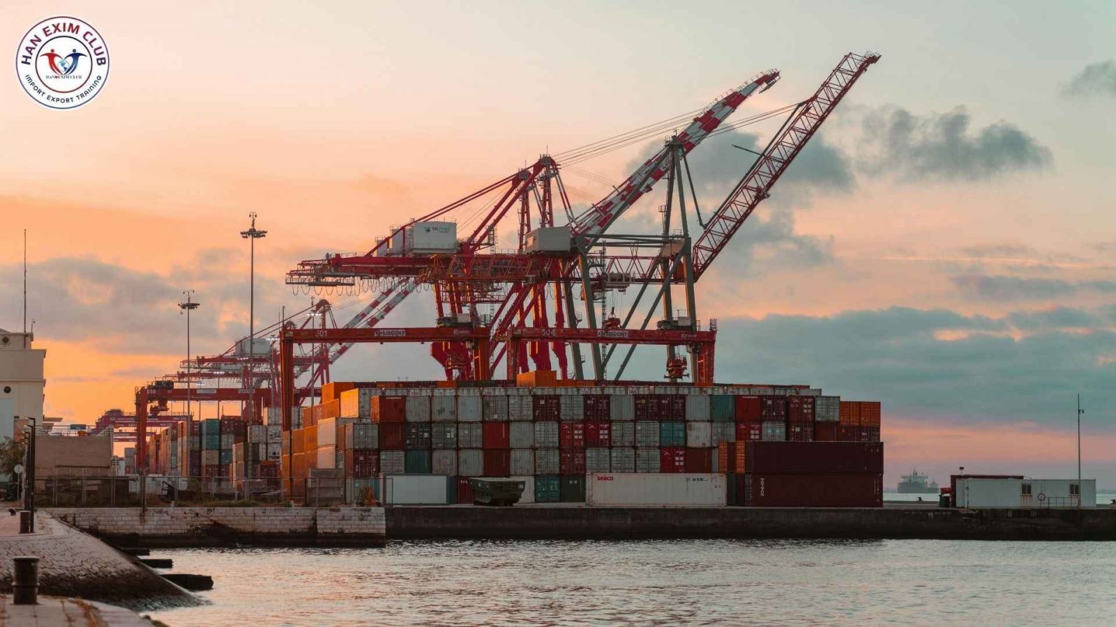 Chuyên viên xuất nhập khẩu làm việc với forwarder và hãng vận chuyển